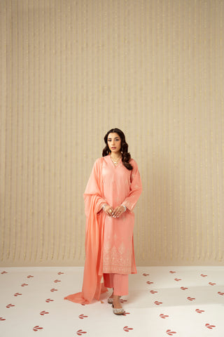3 Piece Lawn Embroidered Suit (CS0118)