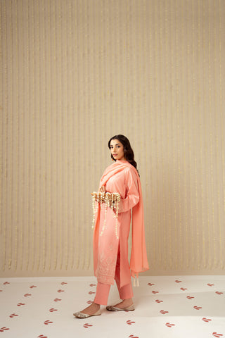 3 Piece Lawn Embroidered Suit (CS0118)