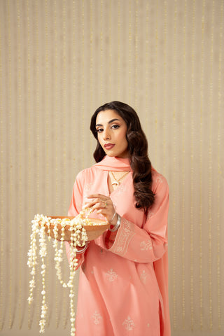 3 Piece Lawn Embroidered Suit (CS0118)