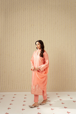 3 Piece Lawn Embroidered Suit (CS0118)