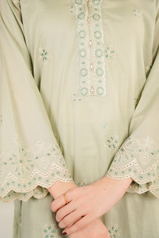 2 Piece Lawn Embroidered Suit (CS0129)