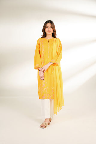 2 Piece Lawn Embroidered Suit (CS0135)
