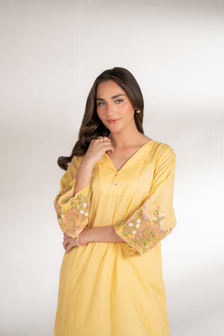 2 Piece Lawn Embroidered Suit (CS0138)