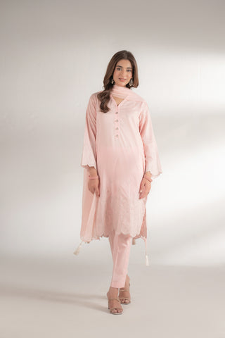 3 Piece Lawn Embroidered Suit (CS0146)