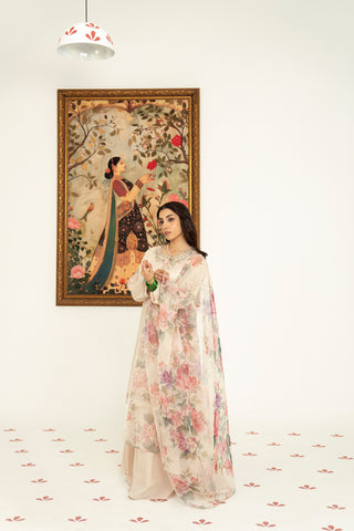 3 Piece Lawn Embroidered Suit (CS0179)