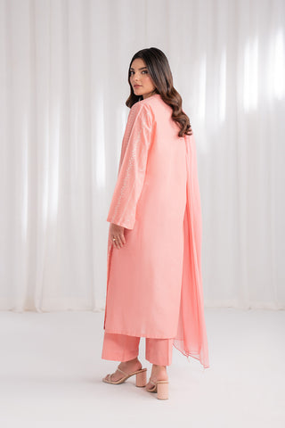 3 Piece Lawn Embroidered Suit (CS0180)