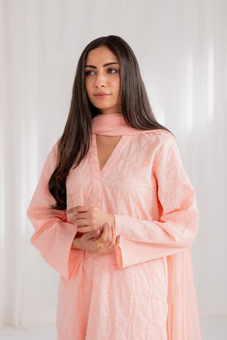 3 Piece Lawn Embroidered Suit (CS0181)