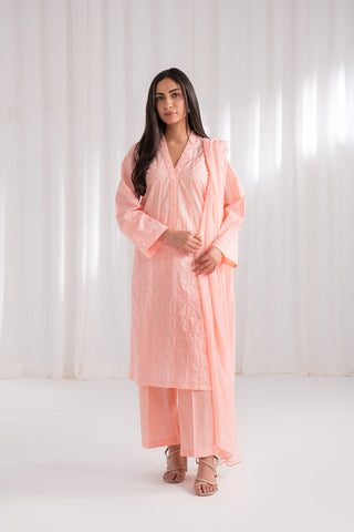 3 Piece Lawn Embroidered Suit (CS0181)