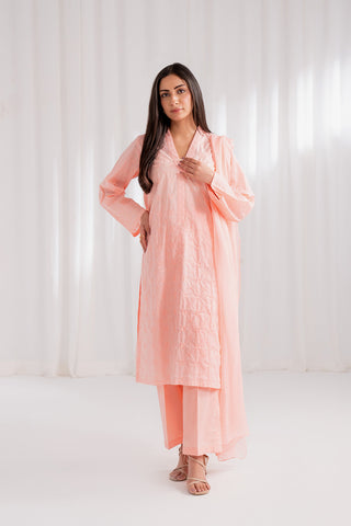 3 Piece Lawn Embroidered Suit (CS0181)