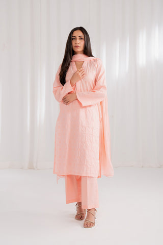 3 Piece Lawn Embroidered Suit (CS0181)