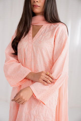 3 Piece Lawn Embroidered Suit (CS0181)