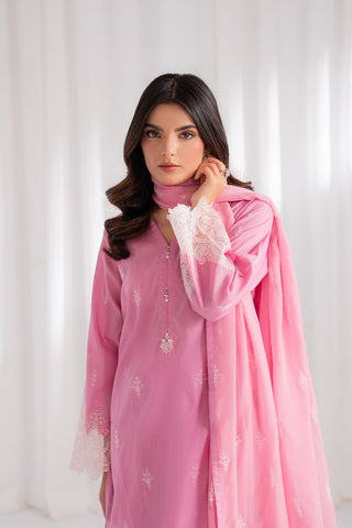 3 Piece Lawn Embroidered Suit (CS0183)