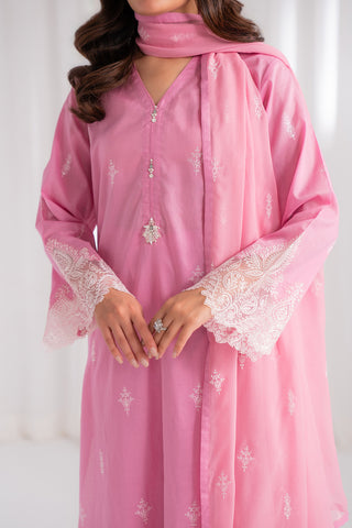 3 Piece Lawn Embroidered Suit (CS0183)