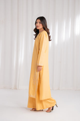 2 Piece Lawn Embroidered Suit (CS0184)