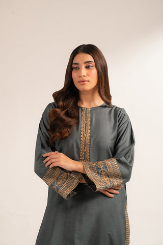 2 Piece Cotton Silk Embroidered (CS0252)