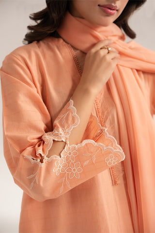 3 Piece Self Jacquard Embroidered (CS0267)