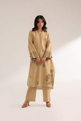 2 Piece Cotton Karandi Embroidered (CS0284)