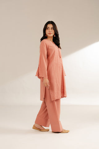 2 Piece Cotton Karandi Embroidered Suit (CS0286)