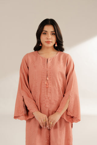 2 Piece Cotton Karandi Embroidered Suit (CS0286)