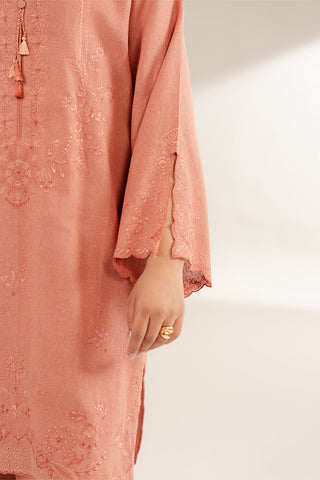 2 Piece Cotton Karandi Embroidered Suit (CS0286)