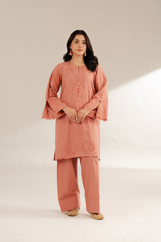 2 Piece Cotton Karandi Embroidered Suit (CS0286)