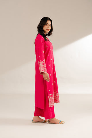 2 Piece Cotton Karandi Embroidered Suit (CS0287)