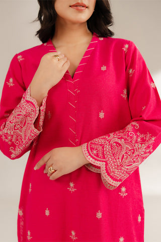 2 Piece Cotton Karandi Embroidered Suit (CS0287)