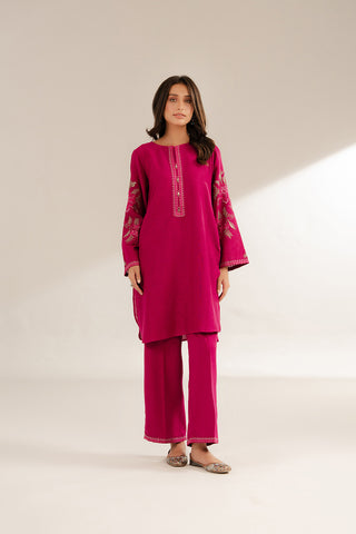 2 Piece Cotton Karandi Embroidered Suit (CS0290)