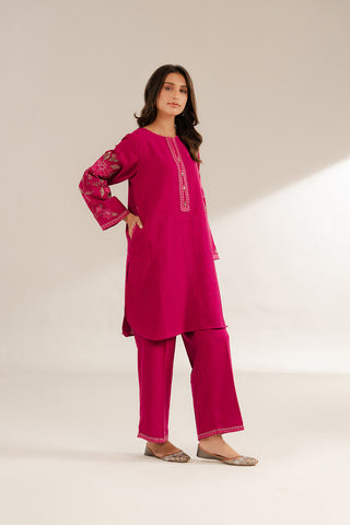 2 Piece Cotton Karandi Embroidered Suit (CS0290)