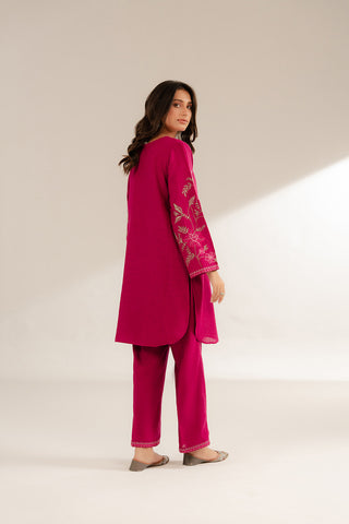 2 Piece Cotton Karandi Embroidered Suit (CS0290)