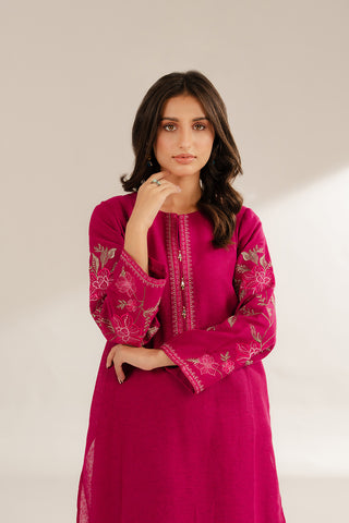 2 Piece Cotton Karandi Embroidered Suit (CS0290)