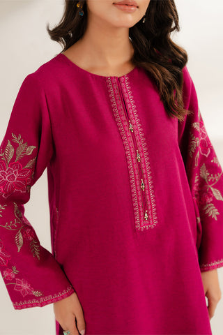 2 Piece Cotton Karandi Embroidered Suit (CS0290)