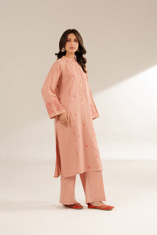 2 Piece Cotton Karandi Embroidered Suit (CS0298)