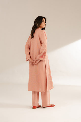 2 Piece Cotton Karandi Embroidered Suit (CS0298)