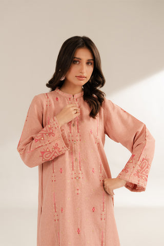 2 Piece Cotton Karandi Embroidered Suit (CS0298)