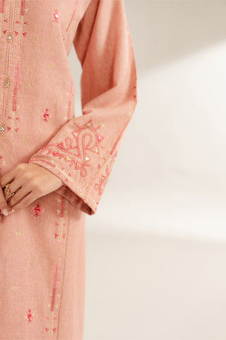 2 Piece Cotton Karandi Embroidered Suit (CS0298)
