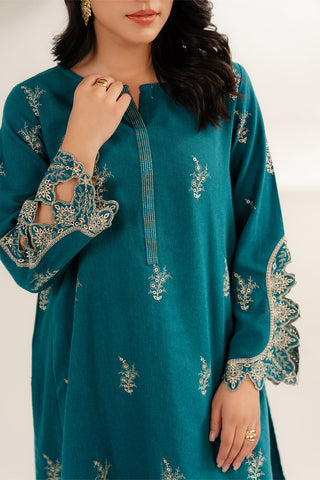 2 Piece Cotton Karandi Embroidered Suit (CS0301)
