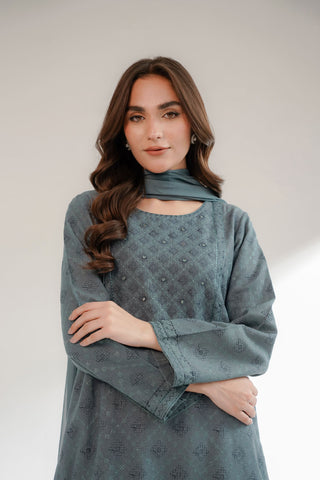 3 Piece Cotton Karandi Embroidered Suit (CS0302)