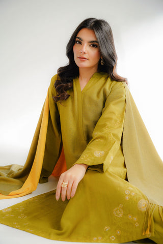 3 Piece Cotton Karandi Embroidered Suit (CS0318)