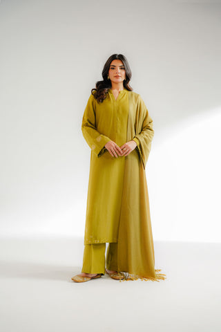 3 Piece Cotton Karandi Embroidered Suit (CS0318)