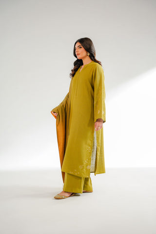 3 Piece Cotton Karandi Embroidered Suit (CS0318)