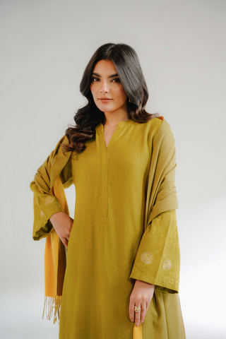3 Piece Cotton Karandi Embroidered Suit (CS0318)