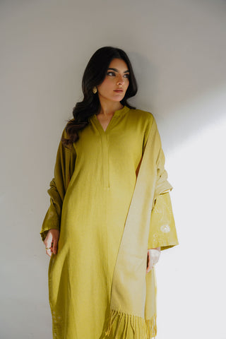 3 Piece Cotton Karandi Embroidered Suit (CS0318)