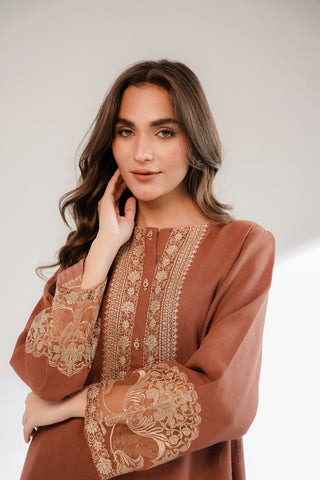 2 Piece Cotton Karandi Embroidered Suit (CS0321)