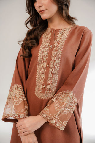 2 Piece Cotton Karandi Embroidered Suit (CS0321)