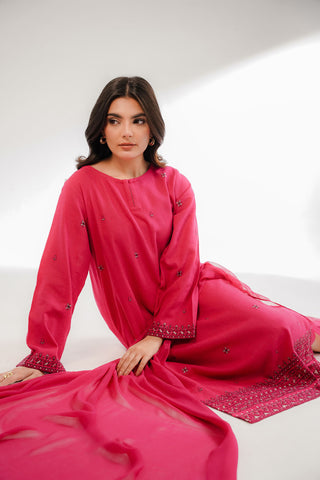 3 Piece Cotton Karandi Embroidered Suit (CS0324)