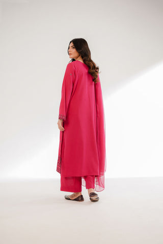 3 Piece Cotton Karandi Embroidered Suit (CS0324)