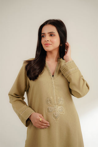 2 Piece Cotton Karandi Embroidered Suit (CS0350)