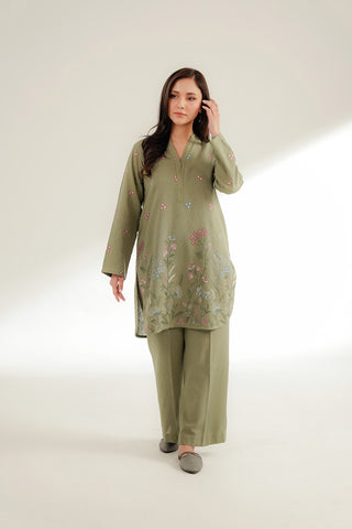 2 Piece Cotton Karandi Embroidered Suit (CS0358)