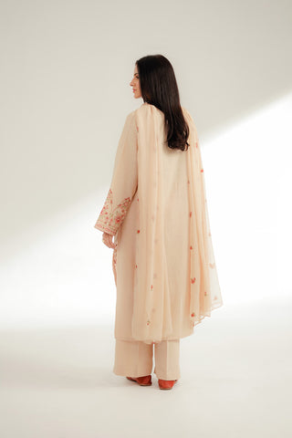 3 Piece Cotton Karandi Embroidered Suit (CS0363)